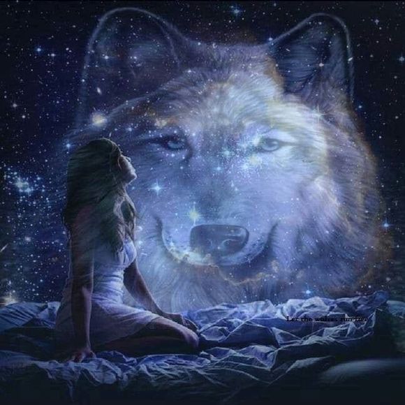 Meet your Posher, Aiyanna - Picture 1 of 1